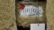 Seveskig 2016AW